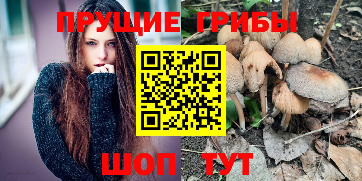 Бутурлиновка  наркотики  Псилоцибиновые грибы GOLDEN TEACHER  Вход с VPN  Галлюциногенные грибы мицелий 