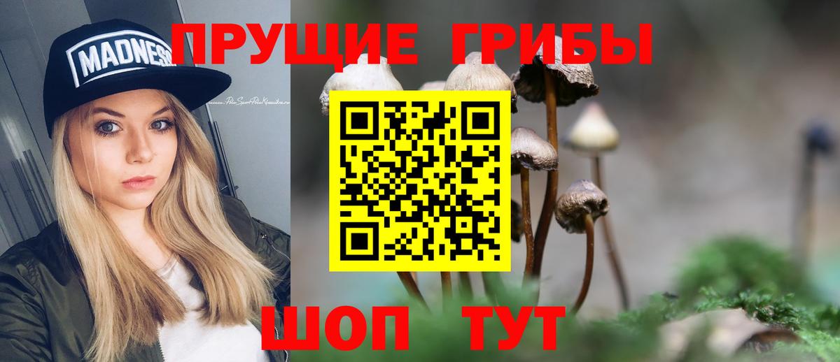 Галлюциногенные грибы ЛСД Бутурлиновка